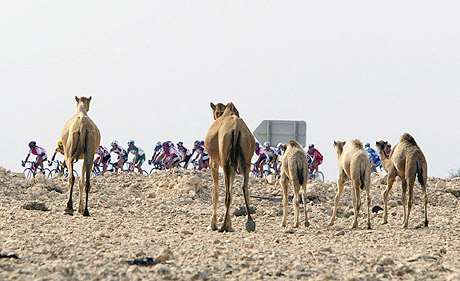 Ronde van Qatar, februari 2004